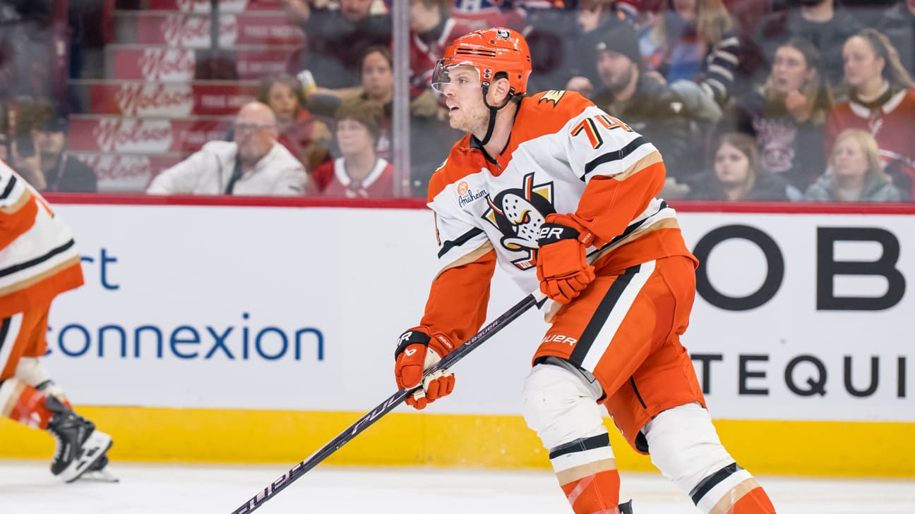 John Carlson action shot