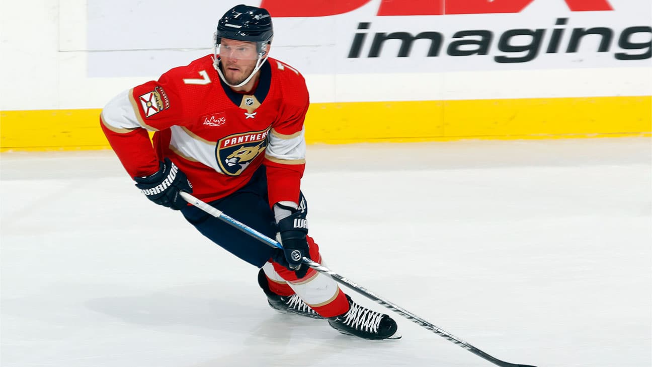 Dmitry Kulikov action shot