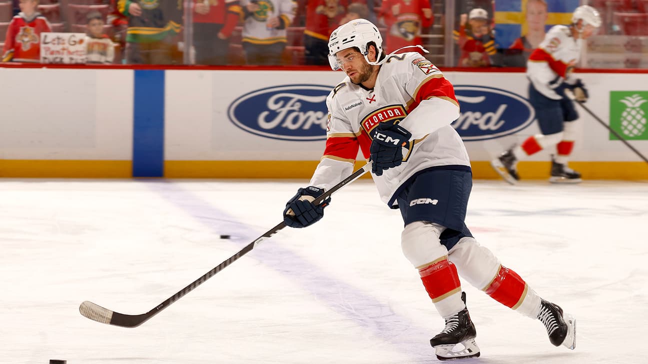 Vinnie Hinostroza action shot