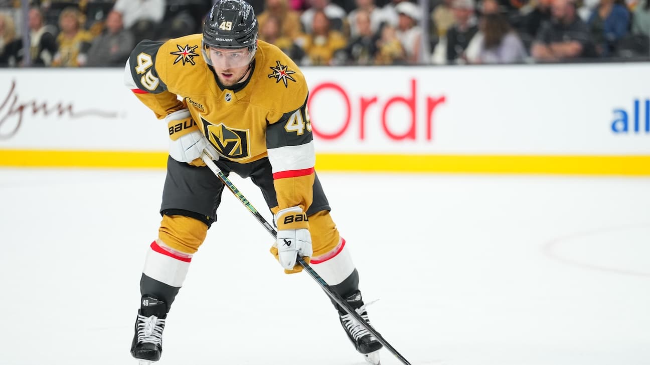 Ivan Barbashev action shot